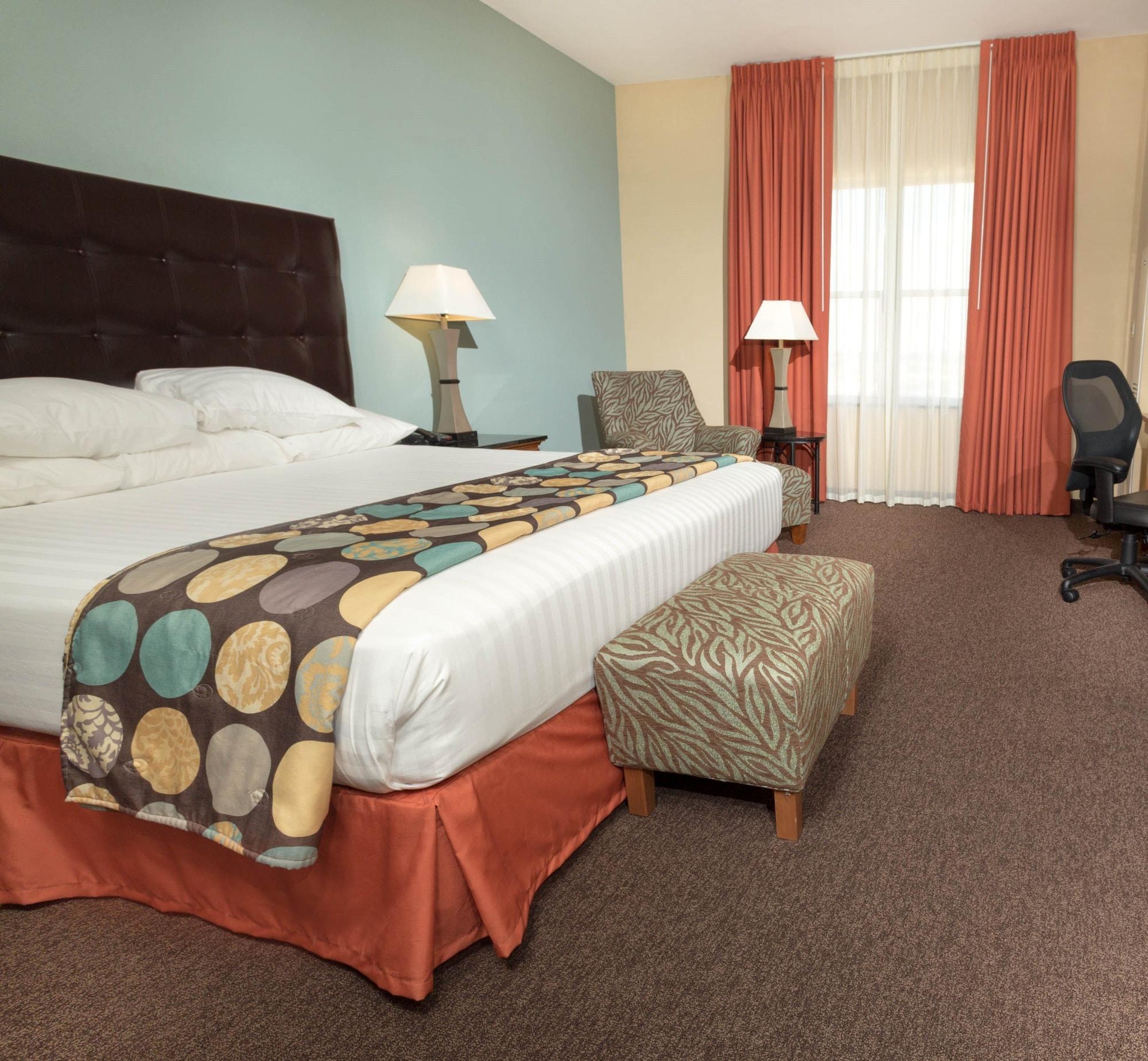 Drury Plaza Hotel San Antonio North Stone Oak Esterno foto